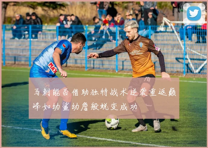 马刺能否借助独特战术逆袭重返巅峰如幼鲨幼詹般蜕变成功