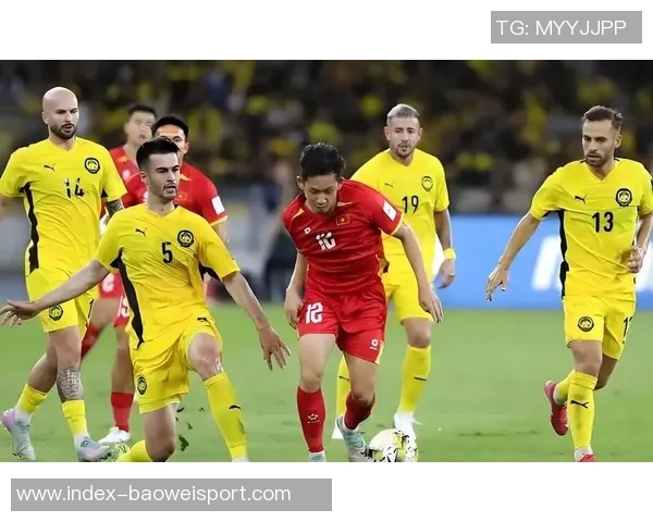 阿媒揭马来西亚归化球员身份造假问题祖父母均无马来西亚血统